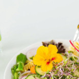 Etn Saladebar Bebida