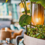 Meerwold Eten Drinken Boisson