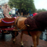 Bij David Extérieur