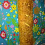 Rana's Kitchen Carta