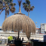 Chinese Muur Hilversum Hilversum Extérieur