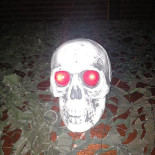 Visspecialist De Vos Getränk