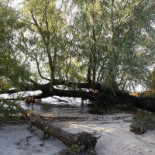 Adventuredome Extérieur