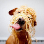 Femis Holten Boisson