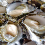 Friethuis 't Ouwe Dorp Boisson