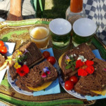 J.j. Janson En J.c. Janson-van Leeuwen Comida