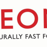 Leon Utrecht Cs Logo