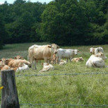 Minevitus Extérieur