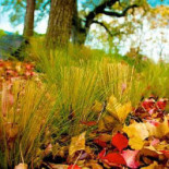 Minevitus Extérieur