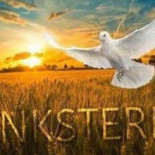 Friture Flipper Exterior