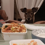 Thai Basil Nourriture