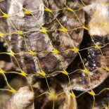 Harry's Pizza Pasta Boisson