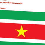 Cafe Netsosweet Logo