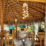 Frituur De Patat À l'intérieur