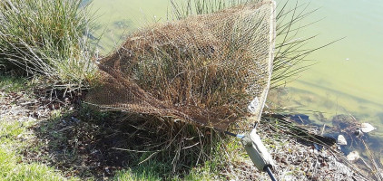 Hof Ter Emstrode Bebida