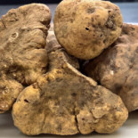 Huis Alain Bianchin Nourriture