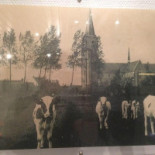 Frituur Wezel Boisson