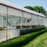 Indrani Lodge Extérieur
