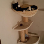 Les 4 Saisons Boisson