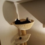 Les 4 Saisons Boisson