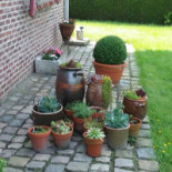 La Pradera Extérieur