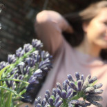 Van Gansbeke Bed Breakfast Boisson