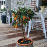 Les Cousines Exterior