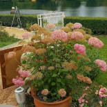 Les Cousines Exterior