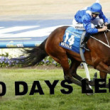 Sally's Pizza Bebida