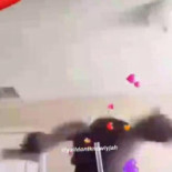 Le Camelia Extérieur