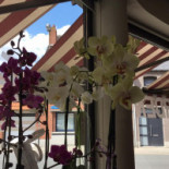 Ma's Garden Exterior