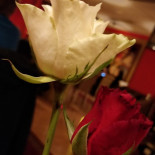 Pitta Egymaro Boisson