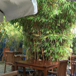 Nemo 33 À l'intérieur