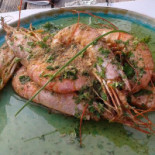 Den Vlaschaert Nourriture