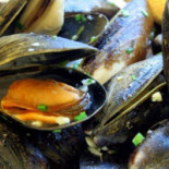 Den Vlaschaert Nourriture