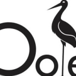 De Ooievaar Logo