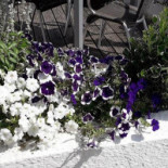 L'abreuvoir Extérieur