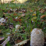 Stappersalm Extérieur