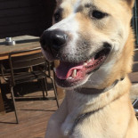 Stappersalm Extérieur