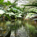 Cap Au Vert Extérieur