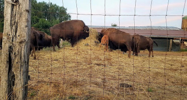 De Slappen Uier Exterior