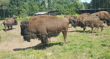 De Slappen Uier Exterior