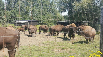 De Slappen Uier Extérieur