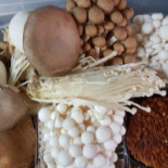 Pizzeria Il Tempio Nourriture