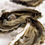 De Zeeuwse Bron Boisson