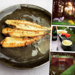 De Koornbloem Nourriture