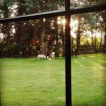 De Koornbloem Extérieur