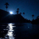 De Koornbloem Extérieur