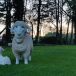 De Koornbloem Extérieur