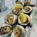 De Sellerie Nourriture